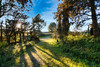 French property for sale in Clermont-l'Hérault, Hérault - €220,000 - thumbnail 14