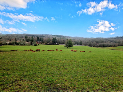 French property for sale in Piégut-Pluviers, Dordogne - €123,000 - photo 2