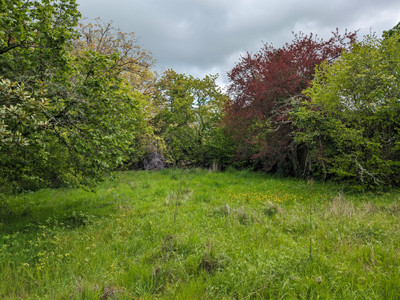 French property for sale in Bellac, Haute-Vienne - €77,000 - photo 9