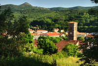 Terrain à Labastide-Rouairoux, Tarn - photo 8