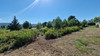 French property for sale in Marseillette, Aude - €252,000 - thumbnail 6