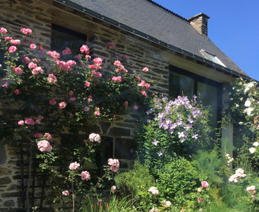 house for sale in Morbihan