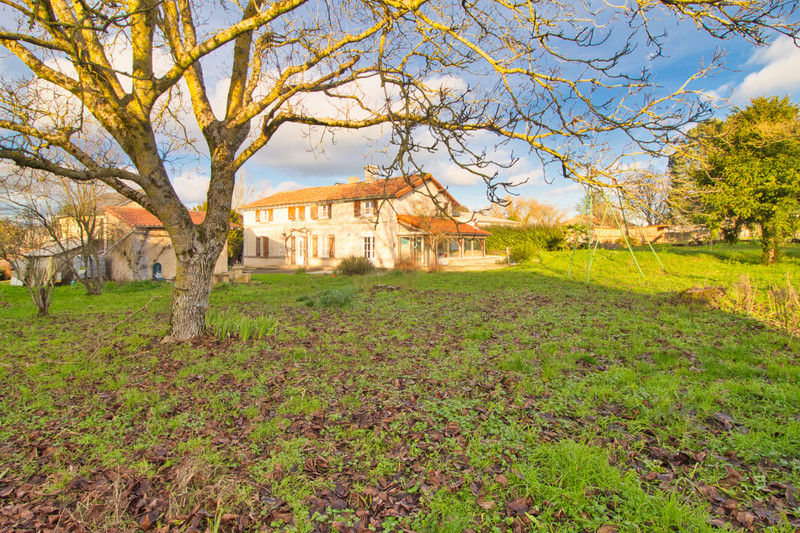 French property for sale in Guesnes, Vienne - photo 4