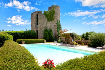 chateau for sale in Tarn