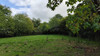 French property for sale in Champagne-Mouton, Charente - €66,600 - thumbnail 9