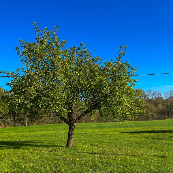 French property for sale in Eymet, Dordogne - €167,400 - photo 2