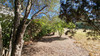 French property for sale in Marseillette, Aude - €252,000 - thumbnail 6