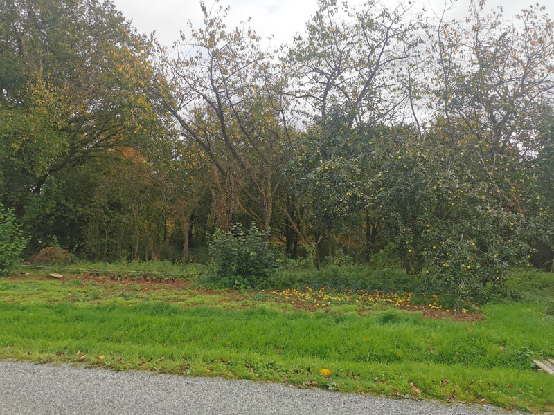 French property for sale in La Gacilly, Morbihan - €50,000 - photo 11