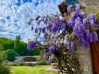 Maison à vendre à Saint-Sauvant, Vienne - 162.000 € - photo 3