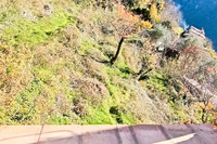 Maison à vendre à Aiglun, Alpes-Maritimes - 119.000 € - photo 9