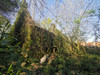French property for sale in La Gacilly, Morbihan - €25,000 - thumbnail 14