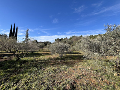French property for sale in Cotignac, Var - €899,000 - photo 7