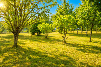 French property for sale in Massugas, Gironde - €408,000 - photo 3