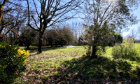 Propriété à vendre à Villemur-sur-Tarn, Haute-Garonne - 172 800 € - photo n°10