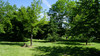 French property for sale in Monségur, Gironde - €290,000 - thumbnail 9