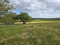Propriété à vendre à Marthon, Charente - 176 000 € - photo n°5