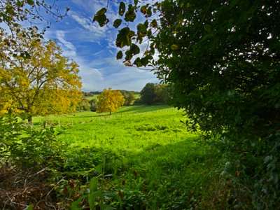 French property for sale in Nailhac, Dordogne - €233,200 - photo 7