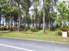 French property for sale in Biscarrosse, Landes - €550,000 - thumbnail 6