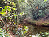 French property for sale in Gonfaron, Var - €330,000 - thumbnail 14