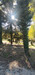 French property for sale in Saint-Jean-d'Estissac, Dordogne - €120,009 - thumbnail 14