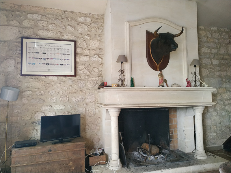 French property for sale in Saint-Louis-de-Montferrand, Gironde - &#8364;1,134,000 - photo 7