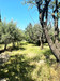 French property for sale in Caromb, Vaucluse - €305,000 - thumbnail 9