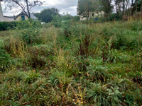 Terrain à vendre à Loyat, Morbihan - 26.195 € - photo 4