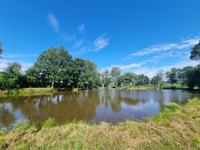 Lacs à vendre à Passais Villages, Orne - 450 500 € - photo 5