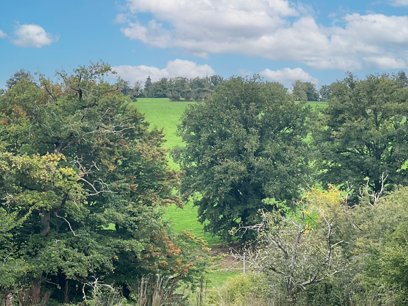 French property for sale in La Celle-Dunoise, Creuse - €161,320 - photo 1