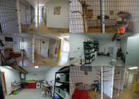 Propriété à vendre à Saint-Pierre-de-Juillers, Charente-Maritime - 278 200 € - photo n°7