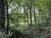 French property for sale in Médréac, Ille-et-Vilaine - €16,600 - thumbnail 9