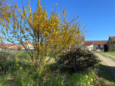 French property for sale in Loubillé, Deux-Sèvres - €189,000 - photo 4