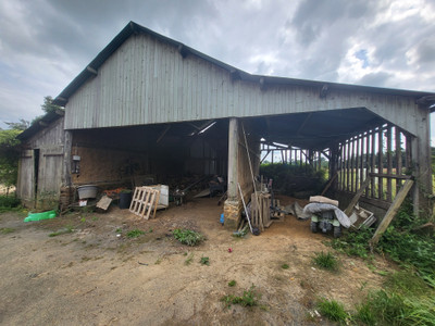 French property for sale in Mortain-Bocage, Manche - €178,200 - photo 4
