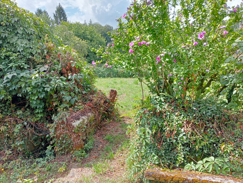 French property for sale in Gros-Chastang, Corrèze - €41,600 - photo 3