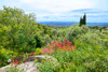 French property for sale in Saint-Saturnin-lès-Apt, Vaucluse - €445,000 - thumbnail 14
