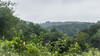 French property for sale in Trie-sur-Baïse, Hautes-Pyrénées - €199,500 - thumbnail 14