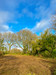 French property for sale in Bourbriac, Côtes-d'Armor - €134,000 - thumbnail 9