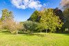 French property for sale in Le Lude, Sarthe - €239,995 - thumbnail 14