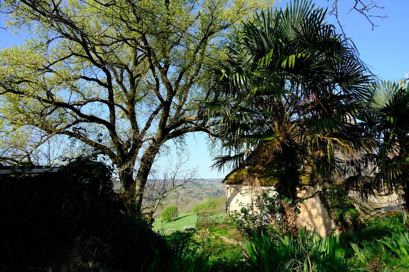 French property for sale in Auriac-du-Périgord, Dordogne - €212,000 - photo 2