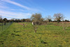 French property for sale in Tusson, Charente - €51,600 - thumbnail 9