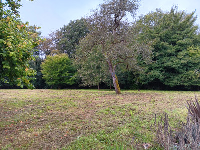 French property for sale in Champagné-Saint-Hilaire, Vienne - €88,000 - photo 7