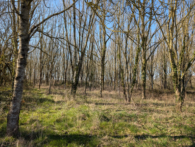 French property for sale in Courcival, Sarthe - €424,000 - photo 8
