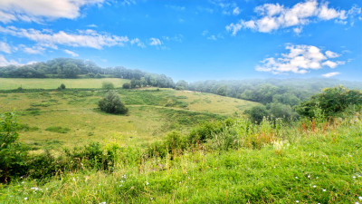 French property for sale in Trie-sur-Baïse, Hautes-Pyrénées - €199,500 - photo 3