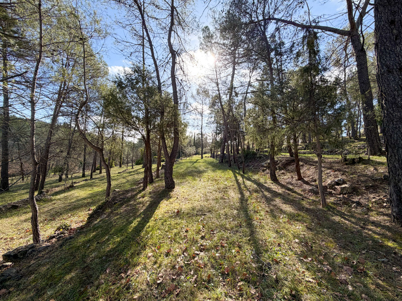 French property for sale in Seillans, Var - €750,000 - photo 2
