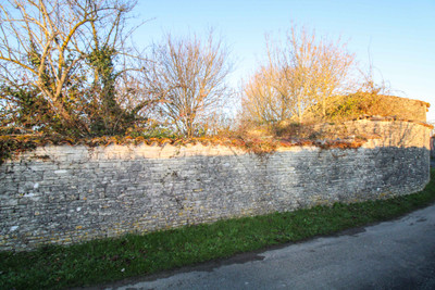 French property for sale in Asnières-la-Giraud, Charente-Maritime - €83,930 - photo 8