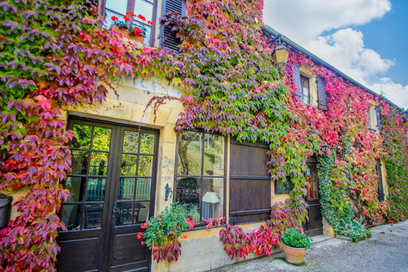 French property for sale in Montferrand-du-Périgord, Dordogne - €749,000 - photo 1