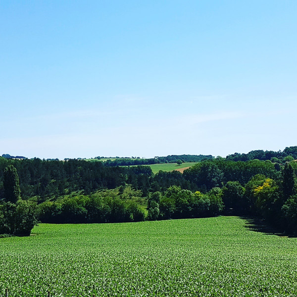 French property for sale in Villetoureix, Dordogne - €295,000 - photo 2
