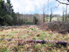 French property for sale in Chalais, Dordogne - €88,000 - thumbnail 9