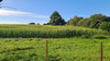 French property for sale in Lesbois, Mayenne - €69,000 - thumbnail 14