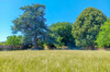 French property for sale in Savigné, Vienne - €320,000 - thumbnail 9